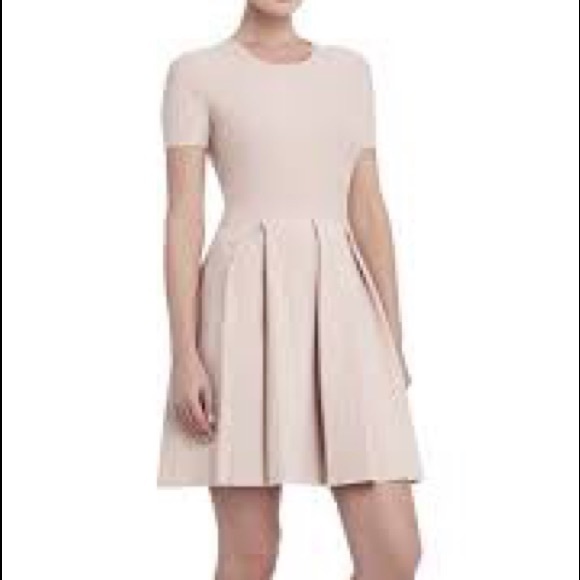 BCBG Maxazaria Elandra Pleated Dress - Picture 4 of 6